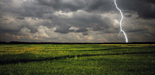 Foto: iStock_000004387298Medium Foto: iStock_000004387298Medium