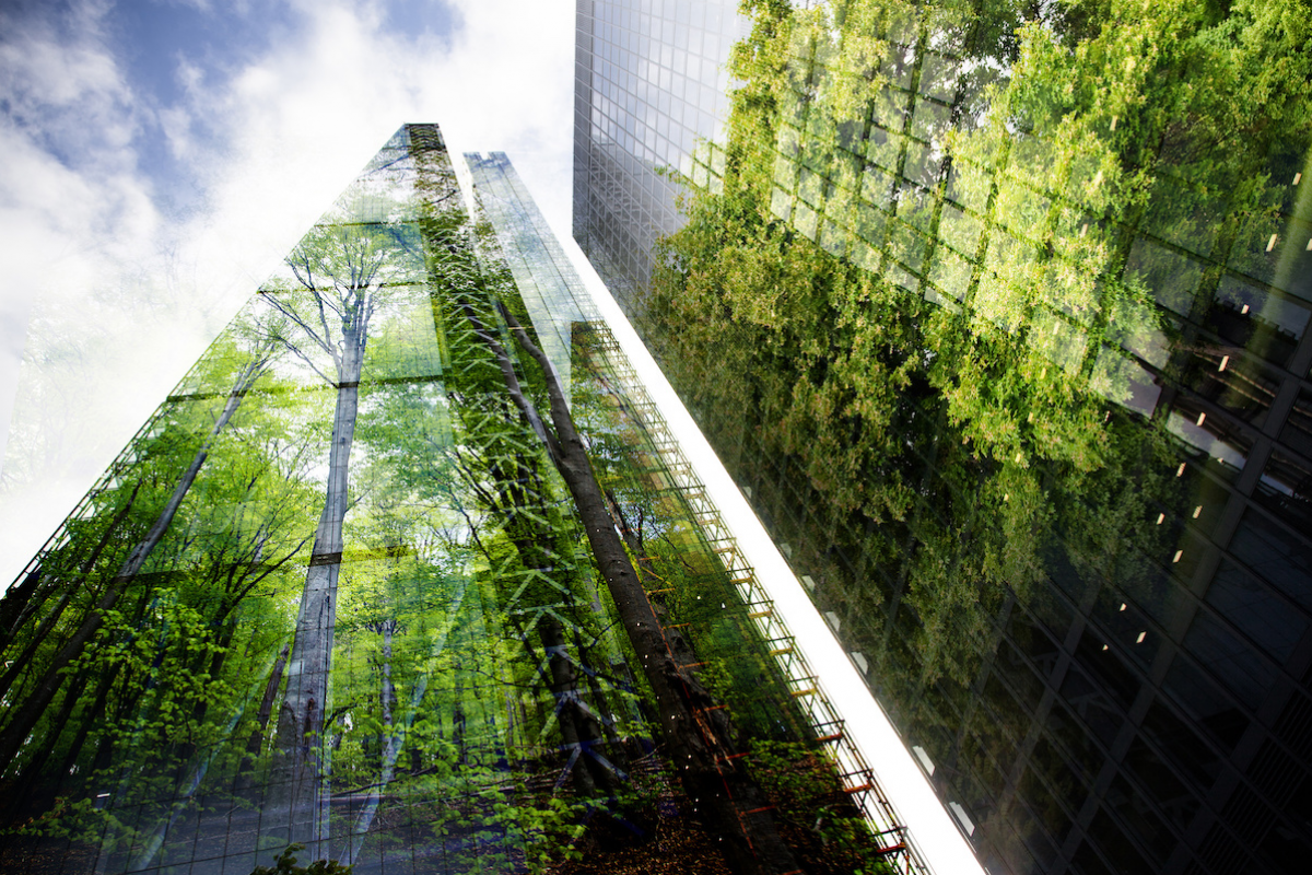 Das Foto zeigt drei Wolkenkratzer von unten, in deren Glasfassade sich Bäume spiegeln.