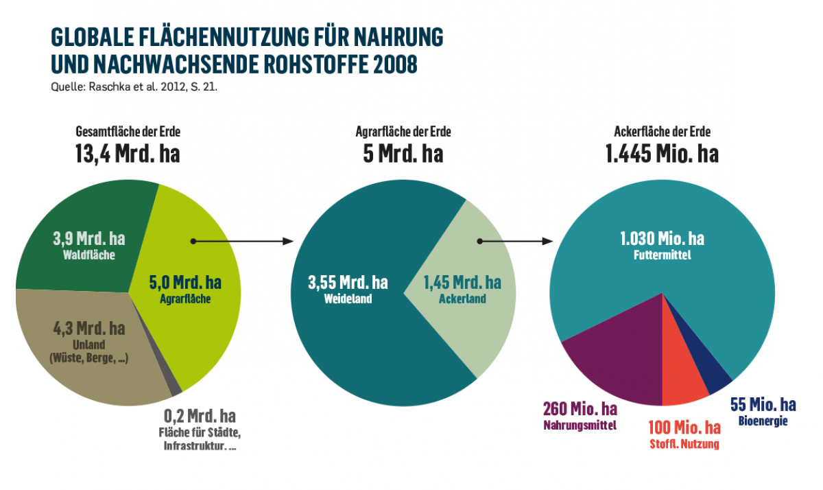 Grafische Aufbereitung der globalen Flächennutzung für Nahrung und nachwachsende Rohstoffe im Jahr 2008. 3 Kreisdiagramme stellen jeweils die Nutzung der Gesamt-, der Agrar- sowie der Ackerfläche der Erde dar.