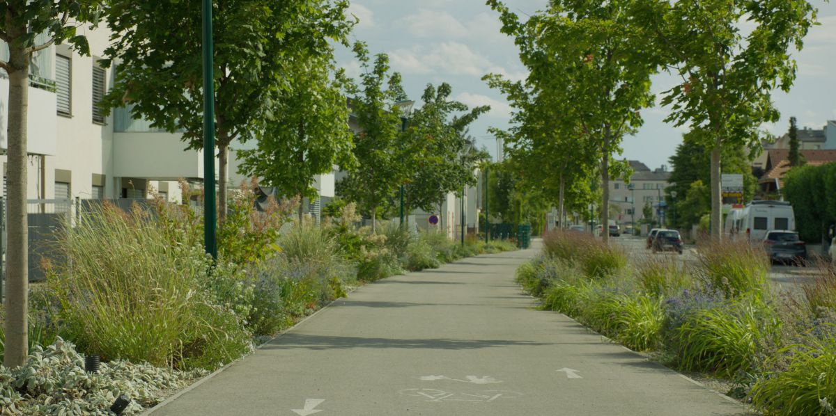 Ein breiter Geh- und Radweg, umrahmt von Bäumen und kleinen Sträuchern.