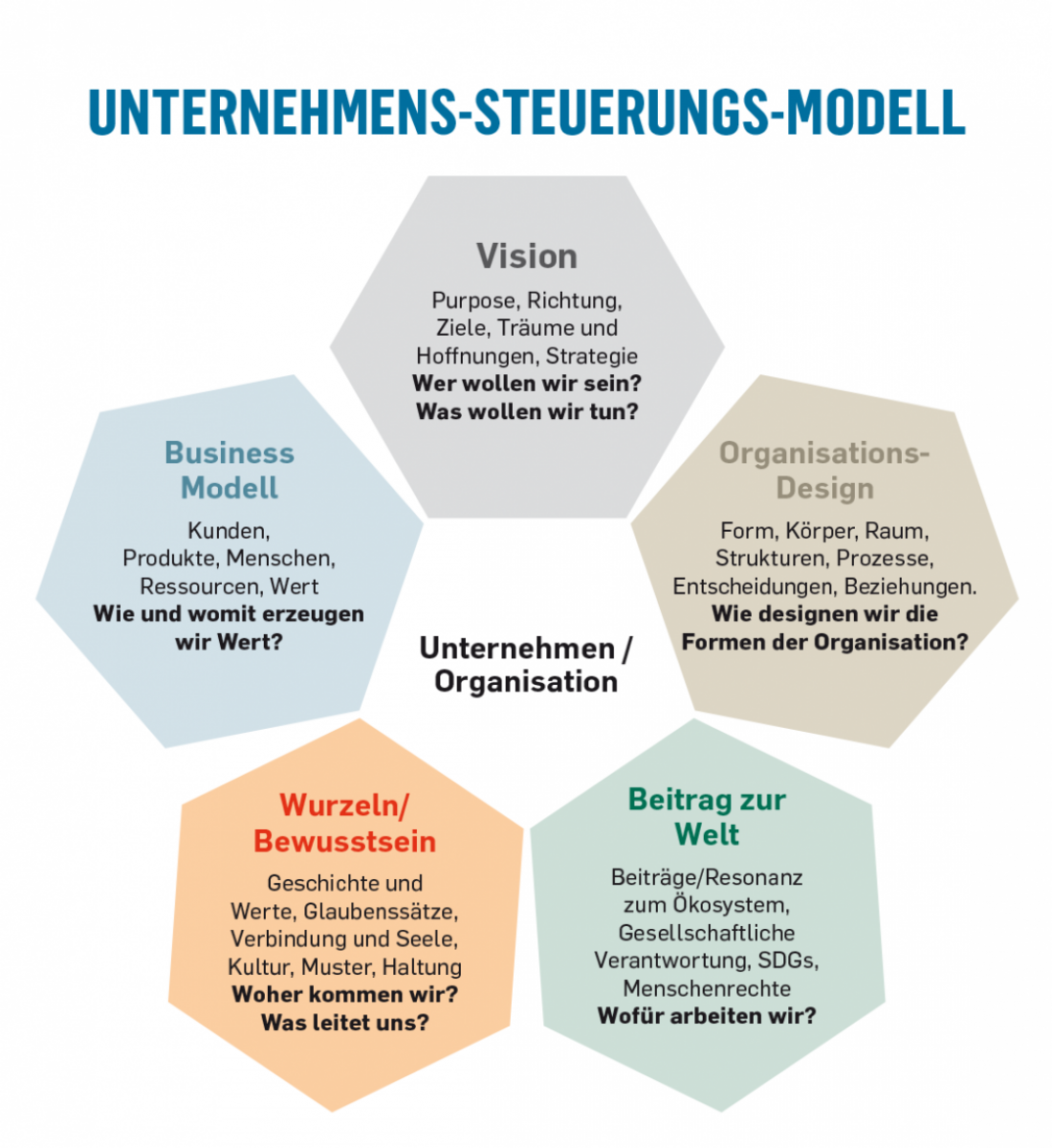 Unternehmens-Steuerungs-Modell: Vision, Organisations-Design, Beitrag zur Welt, Wurzeln/Bewusstsein, Business Modell