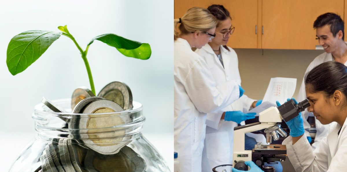 Zwei Bilder: links ein Pflänzchen, das aus einem Glas voller Münzen ragt, rechts eine Gruppe von Wissenschaftlern bei der Arbeit.