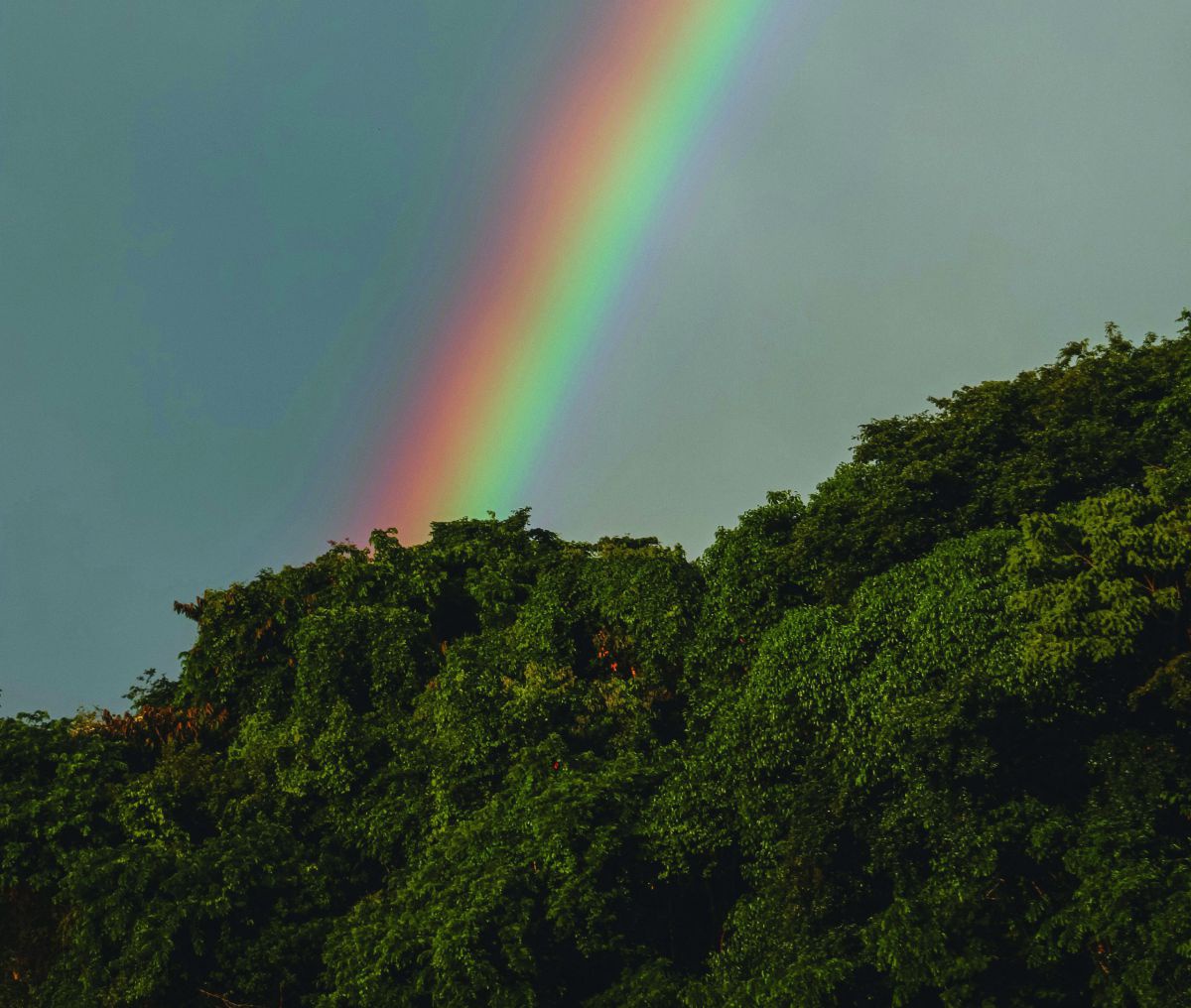 victoria-duarte-wfjwyrx7fns-unsplash