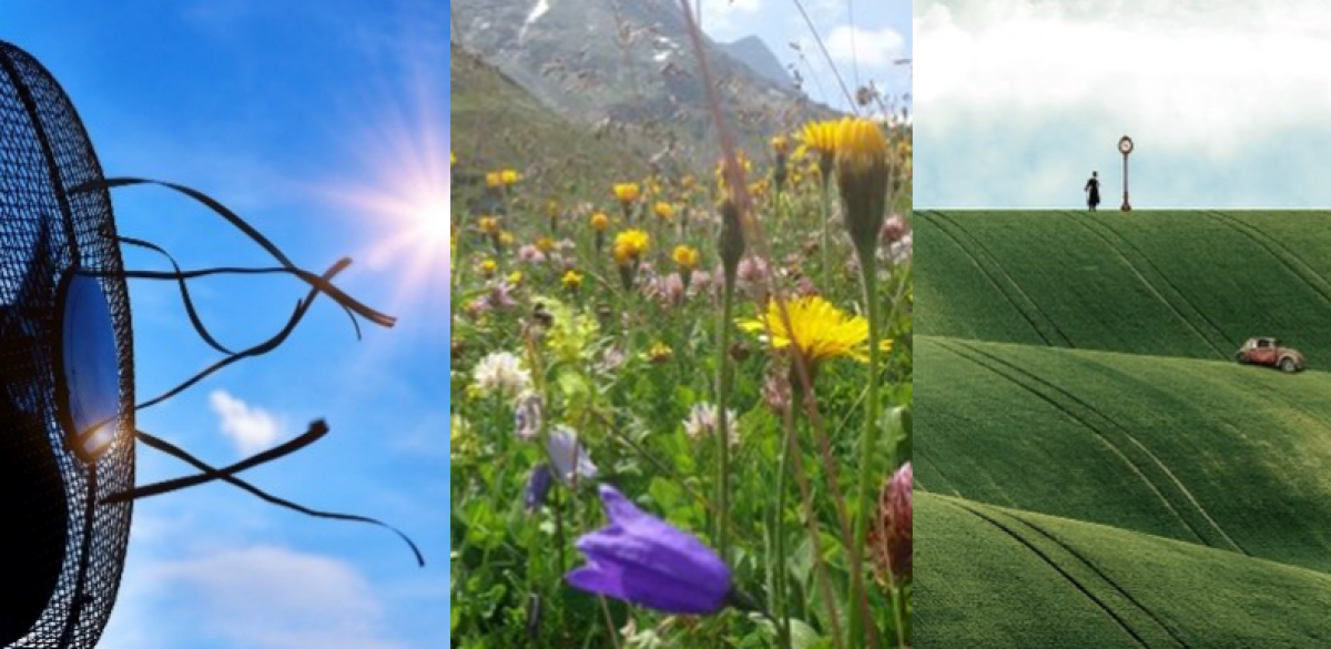 3 Bilder. Links: Ventilator mit flatternden Bändern vor dem Hintergrund einer strahlenden Sonne am blauen Himmel. Mitte: Artenreiche Blumenwiese in den Bergen. Rechts: riesiges Feld, das sich über 3 Hügel erstreckt, am Horizont eine Bushaltestelle, am mit