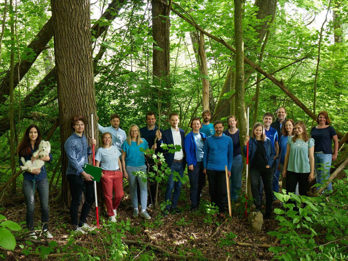 Team des Unternehmens posiert in einem Wald.