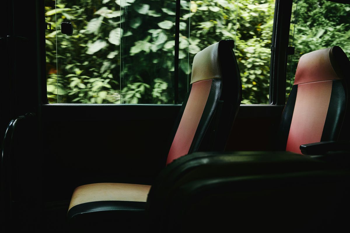 Zwei sichtlich alte, rote Sitzreihen in einem Omnibus. Im Hintergrund sind durch das Fenster grüne Bäume, vermutlich am Straßenrand zu sehen.