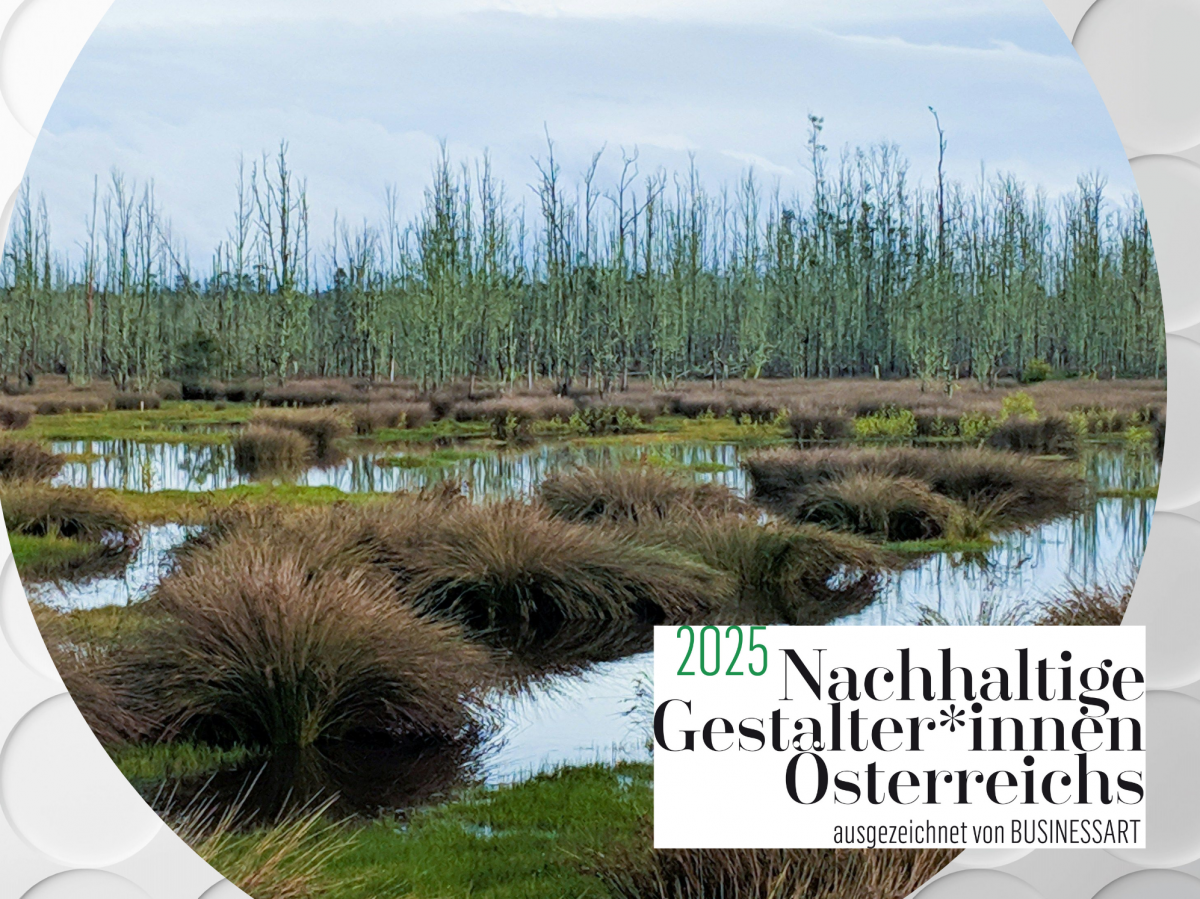 Sujet der Nachhaltigen Gestalter*innen 2025 (weißes reliefartiges Kreismuster als Hintergrund, Logo im rechten unteren Eck), im runden Bildausschnitt der Blick in eine Moorlandschaft.