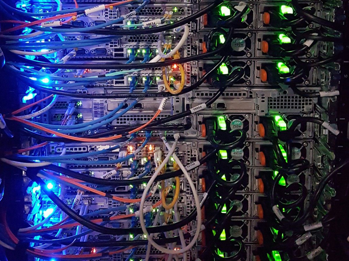 IT-Hardware: verschiedenfarbige Datenkabel in ihren Steckplätzen, dazwischen blaue und grüne LED-Leuchtdioden.