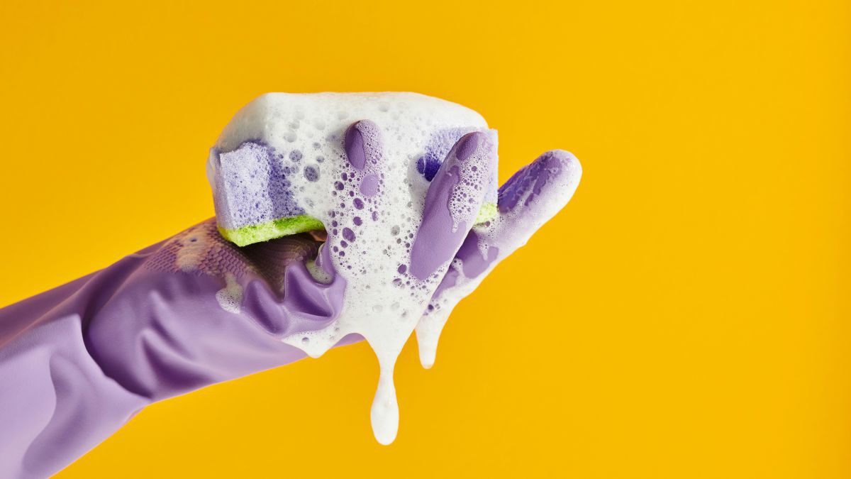 Hand in lila Gummihandschuh hält Putzschwamm, aus dem weißer Schaum quillt, über die behandschuhte Hand rinnt und tropft. Der Hintergrund ist Knallorange.