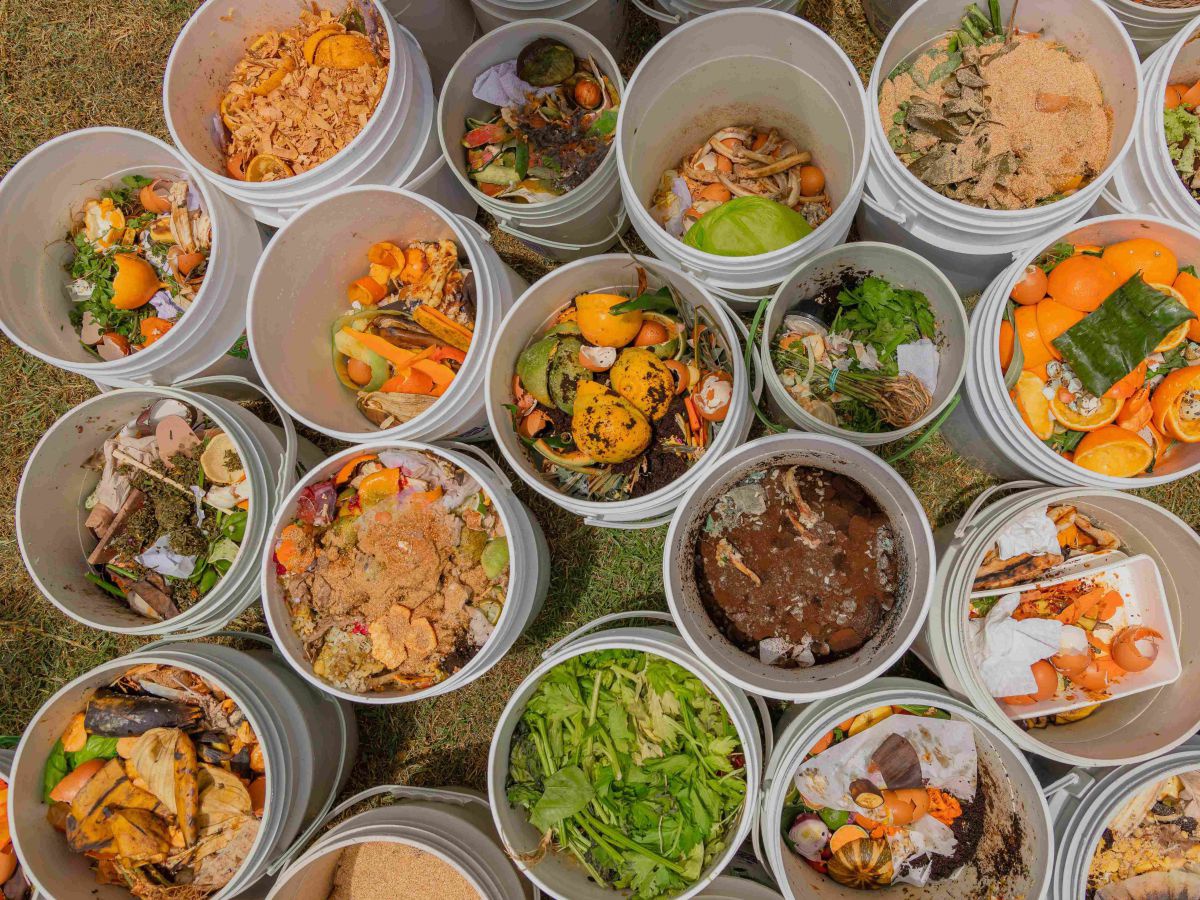 Rund 12 weiße Kübel von oben fotografiert, in denen 
Lebensmittel-Abfall wie Orangen- und Karottenschalen zu sehen ist. 