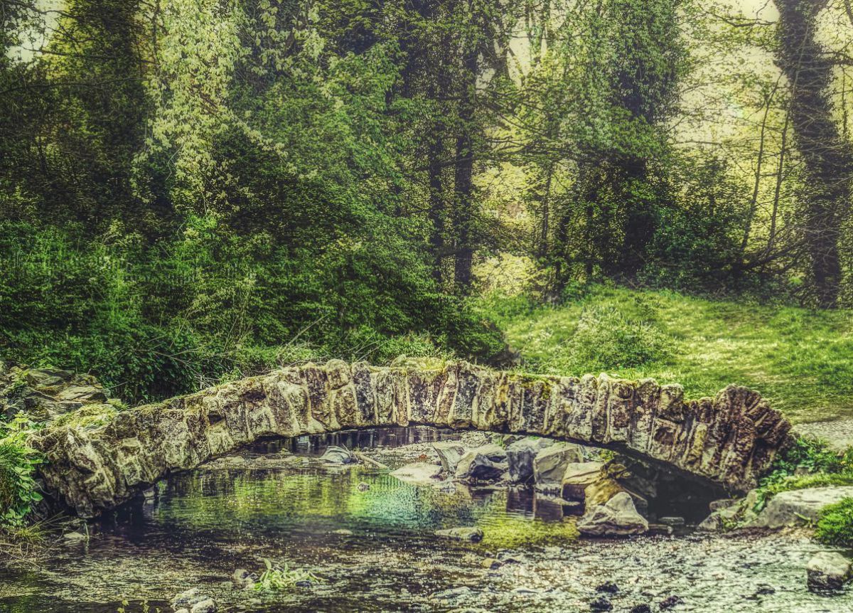 Gewässer mit Steinbrücke in einem Waldstück