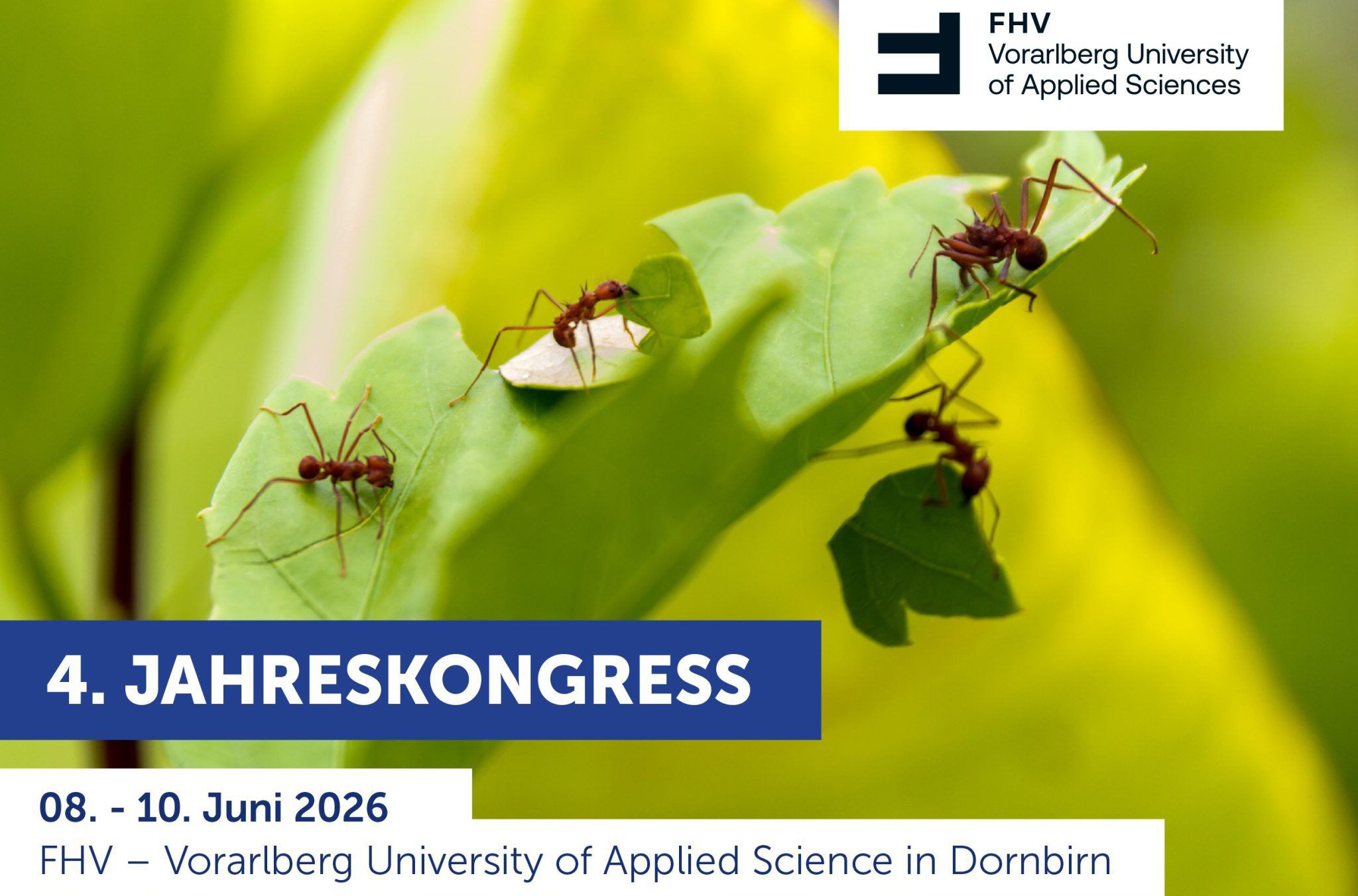 FHV | Vorarlberg University of Applied Sciences
4. JAHRESKONGRESS
08. - 10. Juni 2026 | FHV - Vorarlberg University of Applied Science in Dornbirn