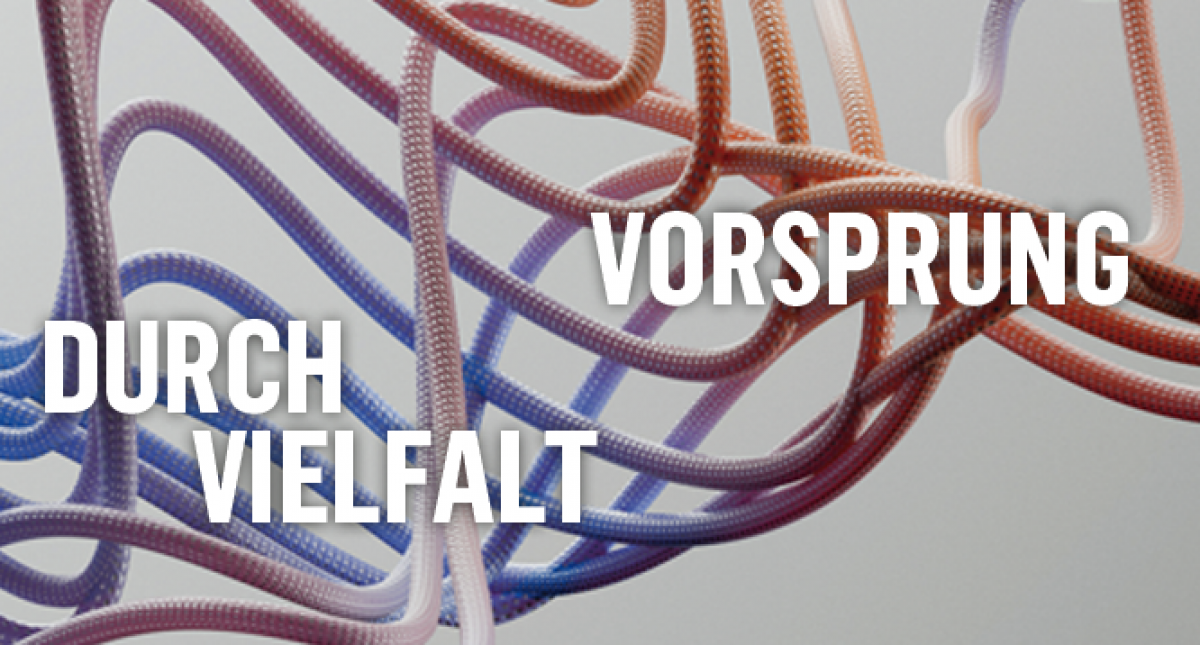Das Bild zeigt ein Geflecht aus verschiedenfärbigen Schnüren in Pastelltönen. Titel: VORSPRUNG DURCH VIELFALT