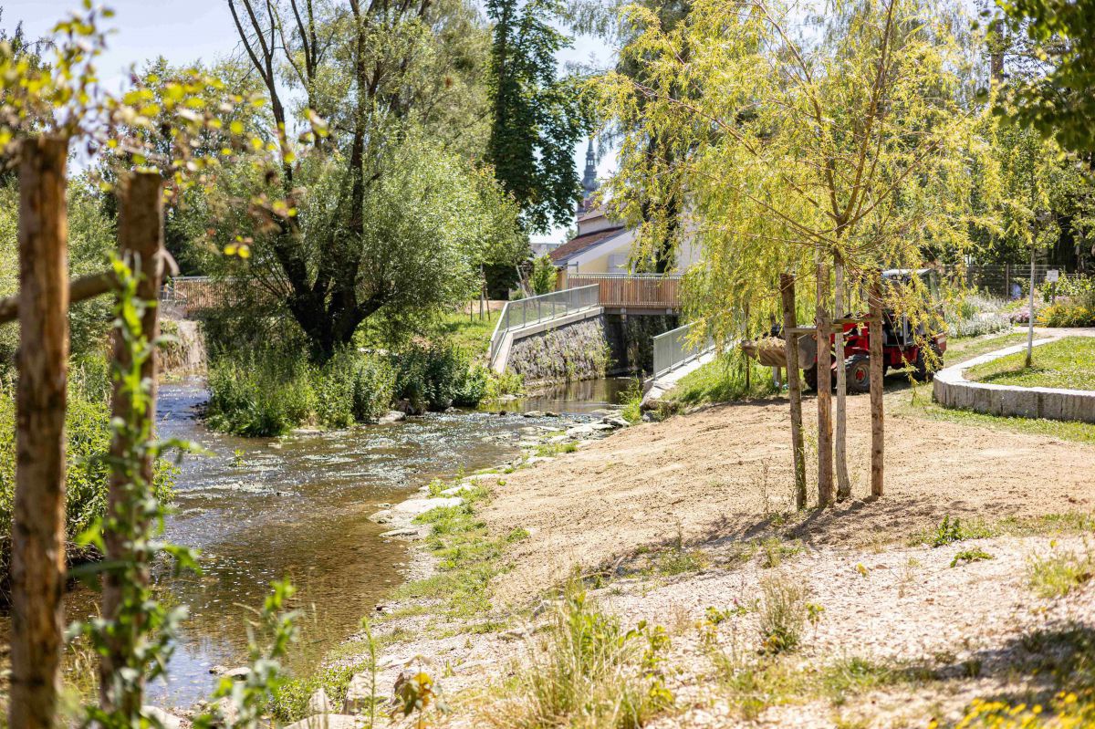 Blick auf die rückgebaute, neu gestaltete Uferregion des Baches: Junge Bäume am sanft abfallenden Uferstrand, ein niedriges Mäuerchen auf Straßenniveau. Der Bach fließt unter einer Brücke weiter, dahinter sieht man älteren Baumbestand.