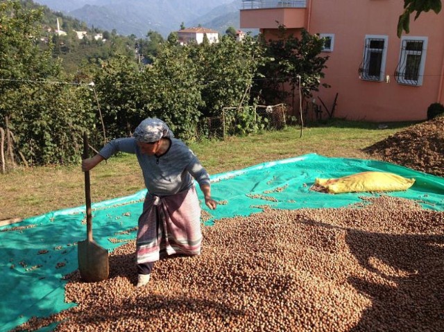 Foto:  UTZ Certified