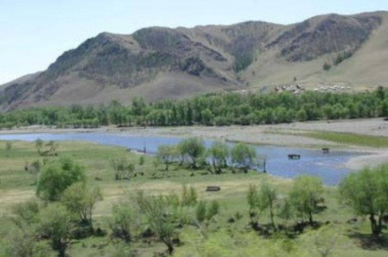 Ufervegetation in der Mongolei - ein Land mit knappen Wasserressourcen. Foto: Alexander Buck