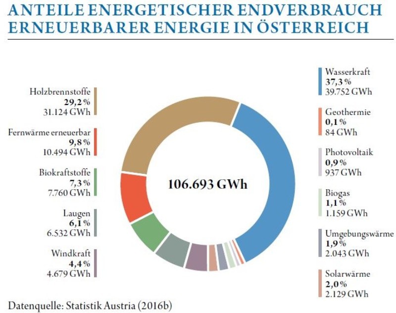 Die Tortengrafik zeigt die Anteile der Energieträger am Inlandsverbrauch