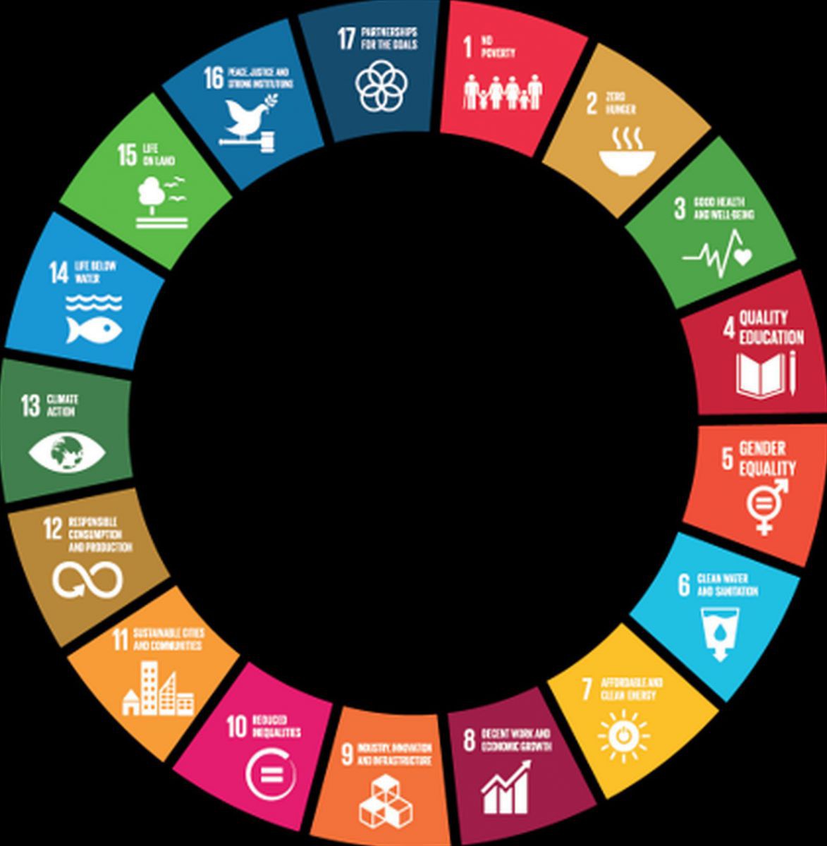 die-erfuellung-der-sustainable-development-goals-sdgs-erfordern-transformative-partnerschaften