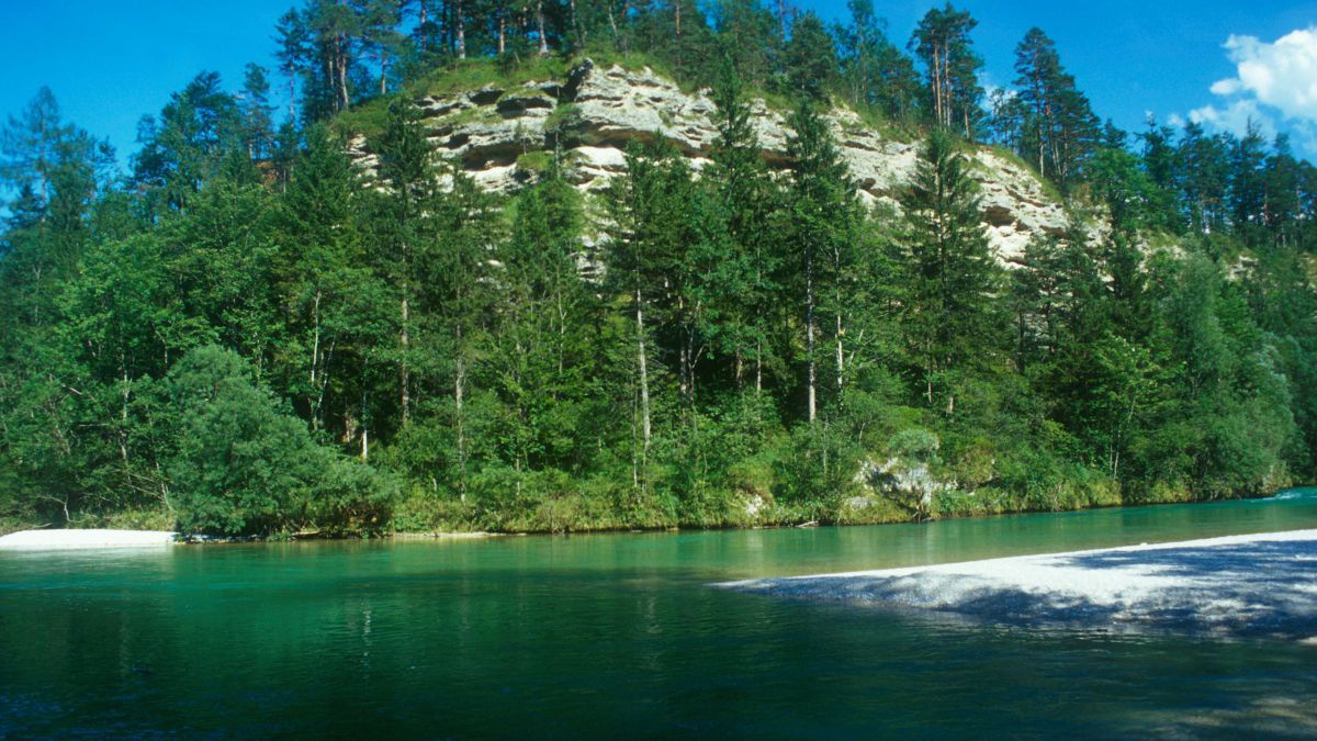Eine Flussbiegung mit Schotterbänken, am Ufer ein bewaldeter Felsen. Vorwiegend sattes Grün von Wasser, Gräsern und Bäumen. Im Hintergrund tiefblauer Himmel mit ein paar weißen Wölkchen.